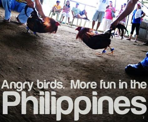 sabong funny quotes|25 Funny Tagalog Quotes And Proverbs (With English .